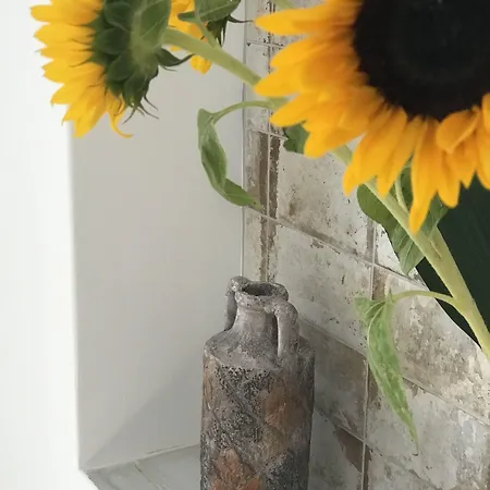 Bed & Breakfast Elia Residences Santorini 4*