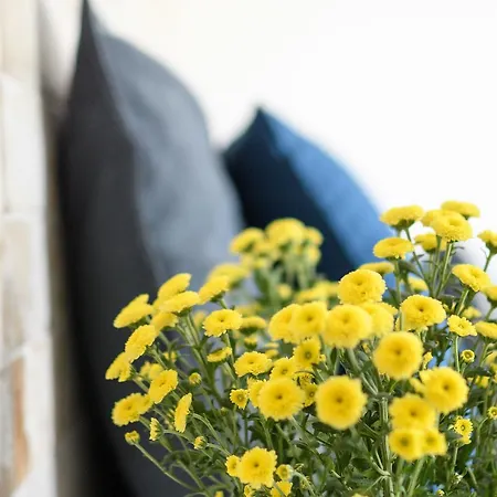 Elia Residences Santorini Bed and Breakfast 4*