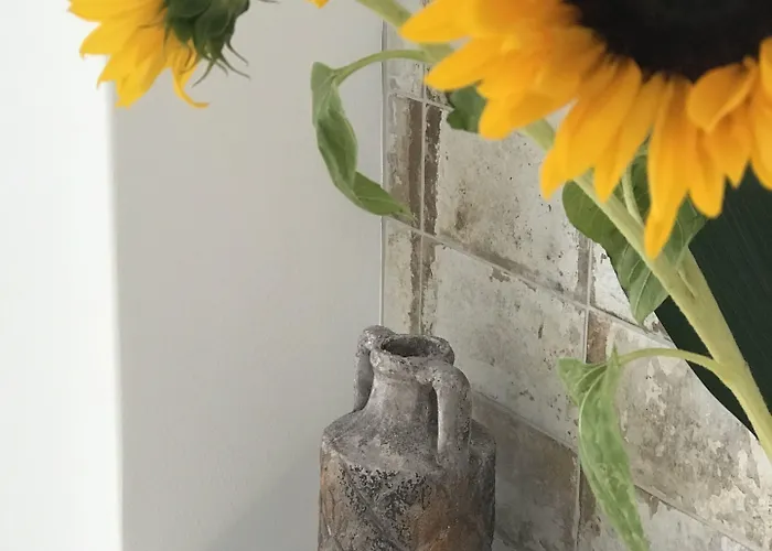 Nocleg ze śniadaniem Elia Residences Santorini 4*